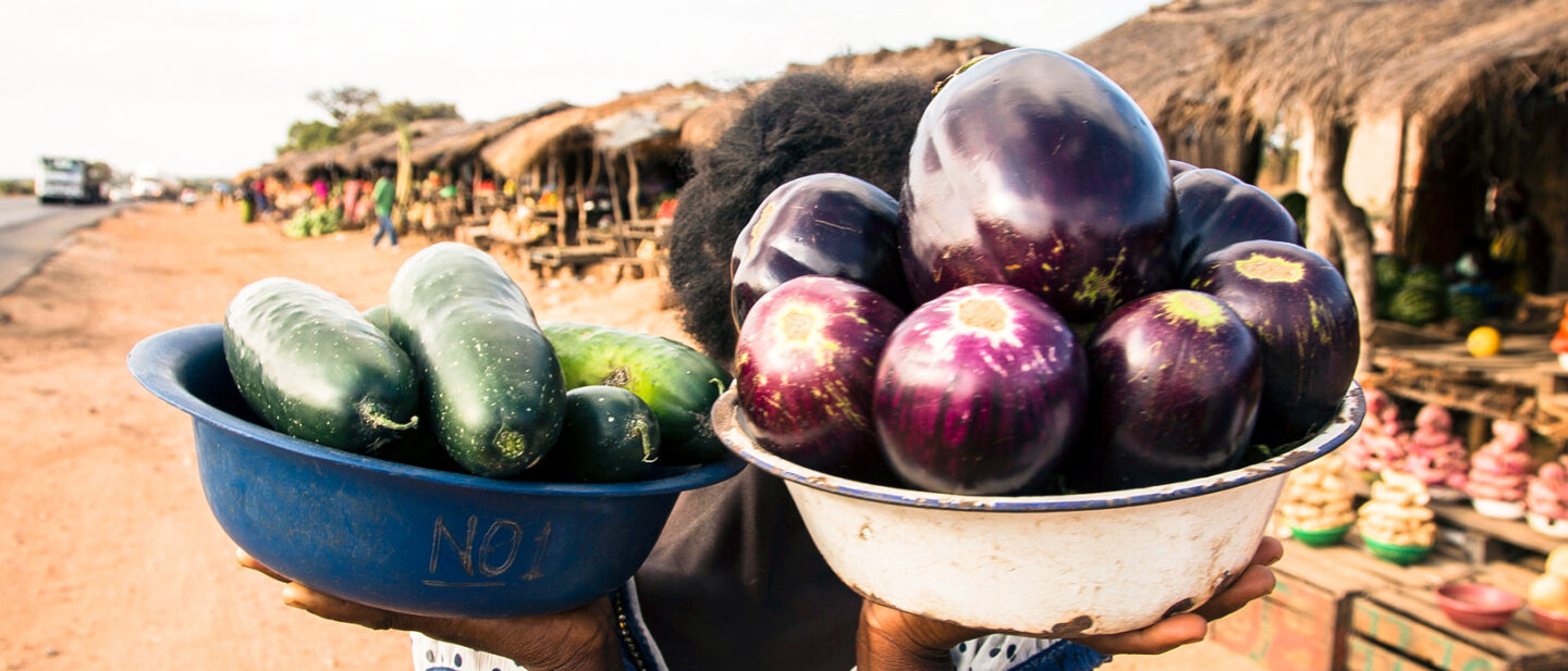 iDE Hero Nutrition Desktop