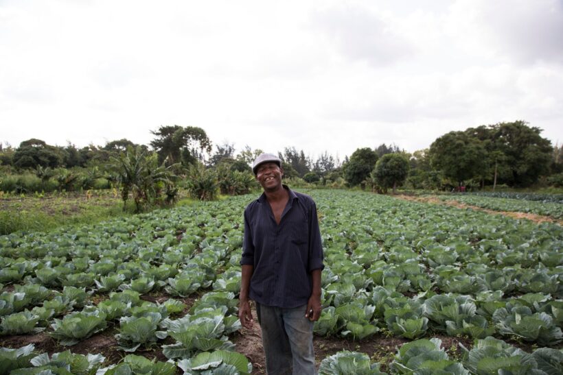 iDE PC Mozambique Fernando Milambo